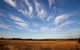 Tamworth - thumb 1