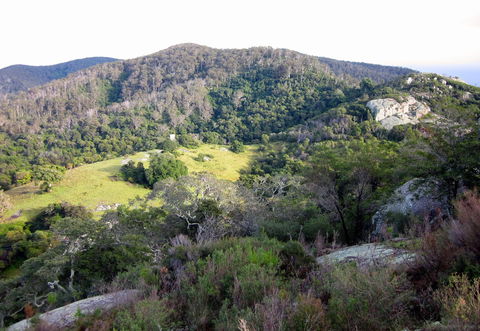 The Bellbird - Northern Rivers Accommodation 0