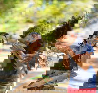 Tjapukai Aboriginal Cultural Park - Northern Rivers Accommodation