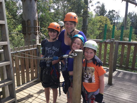 Trees Adventure - Glen Harrow Park - Northern Rivers Accommodation 1
