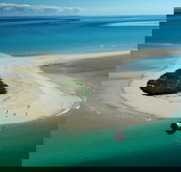 Turtle Discovery - Northern Rivers Accommodation