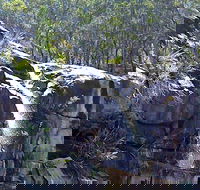 Ugly Corner Falls Walking Track - Northern Rivers Accommodation