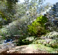 Wadbilliga Road drive - Northern Rivers Accommodation