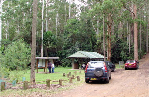 Wallingat Forest Drive - Northern Rivers Accommodation 0