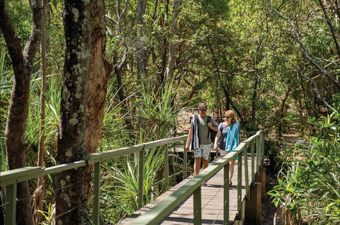 Wangi Falls Walk - Northern Rivers Accommodation 1