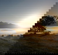 Wollumbin-Mount Warning National Park - Northern Rivers Accommodation