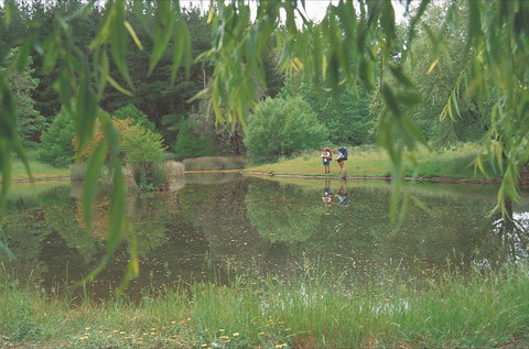 Balingup - Northern Rivers Accommodation 1