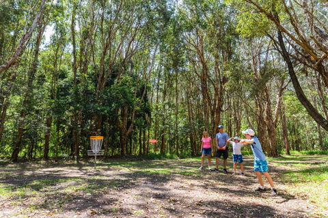 Ballina Disc Golf - Northern Rivers Accommodation 0