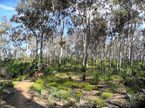 Bibbulmun Track - Northern Rivers Accommodation 1