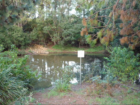 Birdwing Butterfly Walk - Northern Rivers Accommodation 0