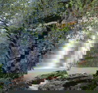 Black Rock Falls - Northern Rivers Accommodation