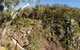 Boonoo Boonoo Falls Picnic Area - thumb 0