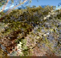 Boonoo Boonoo Falls picnic area - Northern Rivers Accommodation