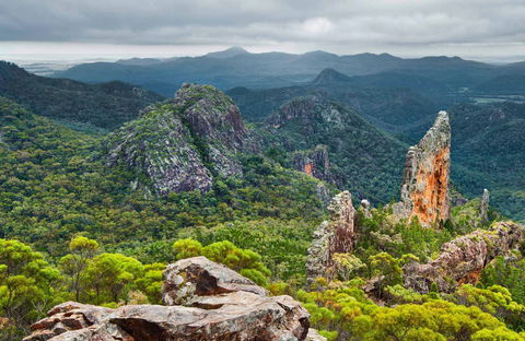 Breadknife And Grand High Tops Walk - Northern Rivers Accommodation 0
