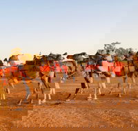 Broken Hill Camels - Northern Rivers Accommodation