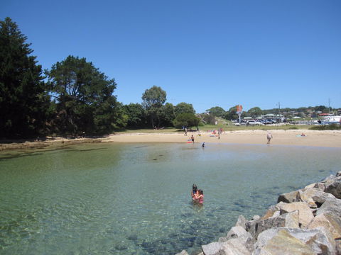 Bruce Steer Pool - Northern Rivers Accommodation 0