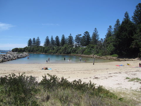 Bruce Steer Pool - Northern Rivers Accommodation 1