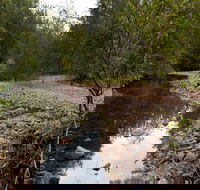 Budawang National Park - Northern Rivers Accommodation