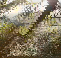 Bundanoon Creek walking track - Northern Rivers Accommodation