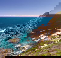 Bushrangers Bay Walking Track - Northern Rivers Accommodation