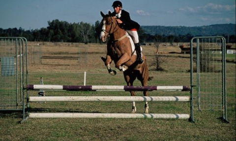 Camden Bicentennial Equestrian Park - Northern Rivers Accommodation 0