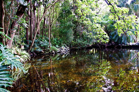 Cascade Gardens - Northern Rivers Accommodation 2