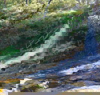Charles Darwin walk - Northern Rivers Accommodation