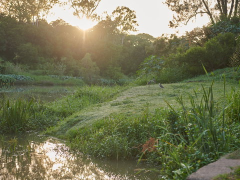 Cribb Park - Northern Rivers Accommodation 2