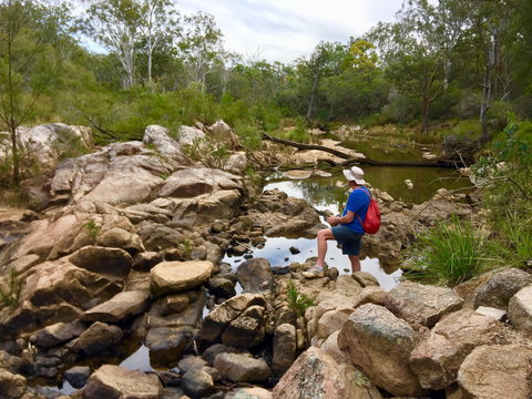 Crows Nest Falls - Northern Rivers Accommodation 2