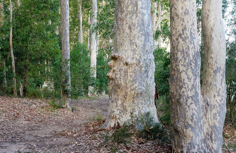 Delta Track - Northern Rivers Accommodation 0