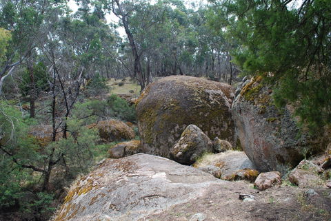 Dergholm State Park - Northern Rivers Accommodation 0