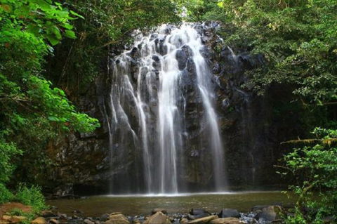 Ellinjaa Falls - Northern Rivers Accommodation 0