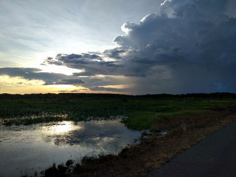 Fogg Dam Conservation Reserve - Northern Rivers Accommodation 2