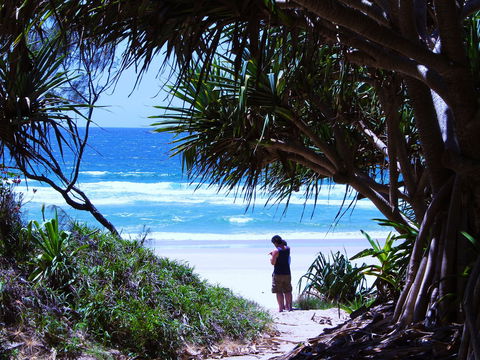 Frazers Reef - Northern Rivers Accommodation 0