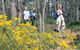 Gidgegannup - thumb 0