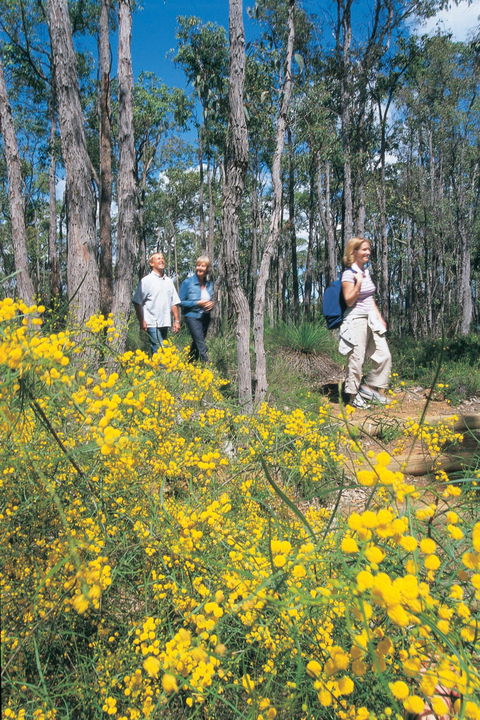 Gidgegannup - Northern Rivers Accommodation 0