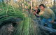 Gidgegannup - thumb 2