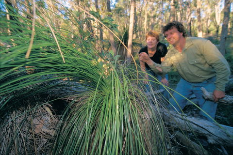Gidgegannup - Northern Rivers Accommodation 2