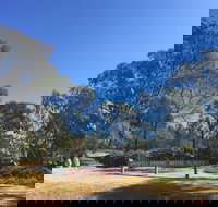 Grenfell Endemic Garden - Northern Rivers Accommodation