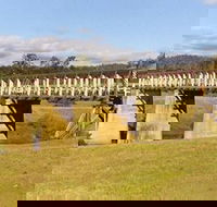 Historic Tabulam DeBurgh Timber Bridge - Northern Rivers Accommodation