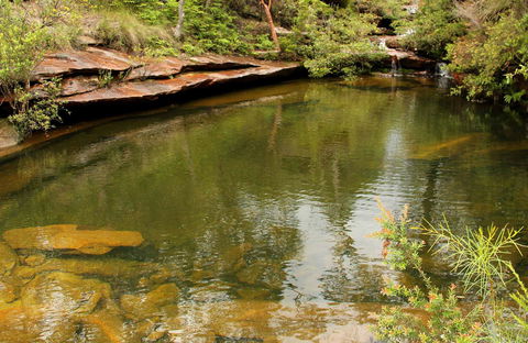 Hominy Creek Walking Track - Northern Rivers Accommodation 0