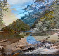 Ingleburn Reserve - Northern Rivers Accommodation