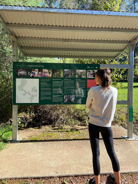 Jehosaphat Gully Picnic Area - Northern Rivers Accommodation 0