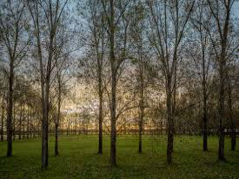 John Tucker Park - Northern Rivers Accommodation 1