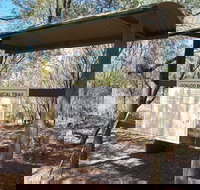 Joonjoo Botanical Trail - Northern Rivers Accommodation