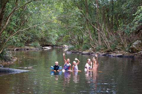 Kerewong State Forest - Northern Rivers Accommodation 0