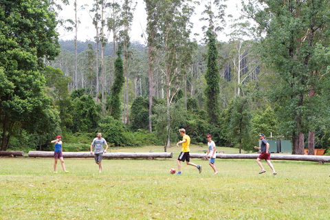 Kerewong State Forest - Northern Rivers Accommodation 1