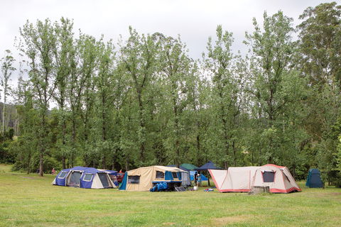 Kerewong State Forest - Northern Rivers Accommodation 2