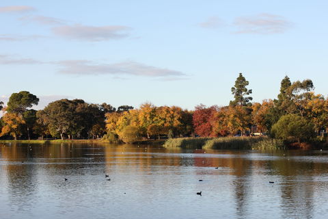 Lake Weeroona - Northern Rivers Accommodation 0