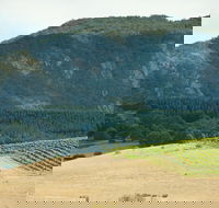 Langi Ghiran State Park - Northern Rivers Accommodation